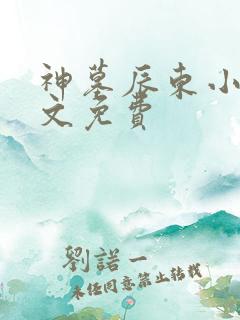 神墓辰东小说全文免费