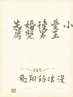 先婚后爱小说推荐双男主