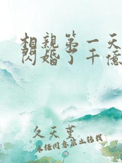 相亲第一天:我闪婚了千亿富翁