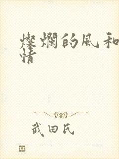 灿烂的风和海剧情