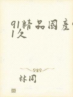 91精品国产91久