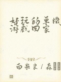 好玩的单机手机游戏回家