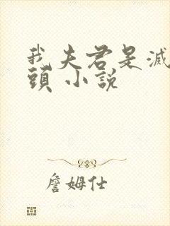 我夫君是灭世魔头 小说