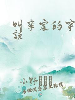 叫宁宸的穿越小说