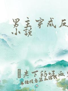 男主穿成反派的小说