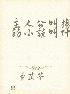 主人公叫杨小天的小说叫什么名字