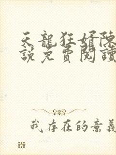 天龙狂婿陈丰小说免费阅读无弹窗