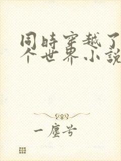 同时穿越了99个世界小说阅读全部