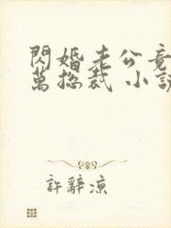 闪婚老公竟是亿万总裁 小说