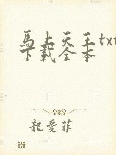 马上天王txt下载全本