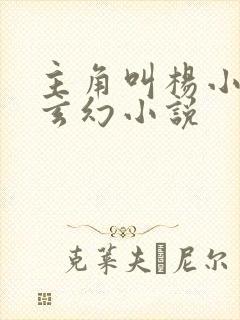 主角叫杨小天的玄幻小说