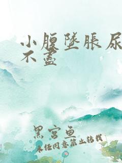 小腹坠胀尿频尿不尽