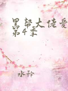 黑帮大佬爱上我第4季