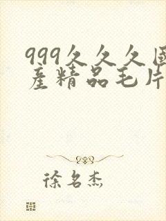 999久久久国产精品毛片