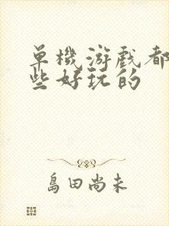 单机游戏都有哪些好玩的