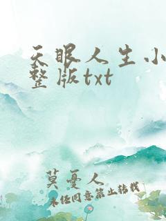 天眼人生小说完整版txt