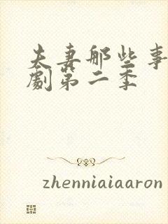 夫妻那些事电视剧第二季