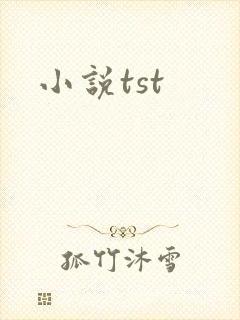 小说tst