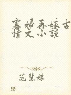 寡妇再嫁古代言情文小说