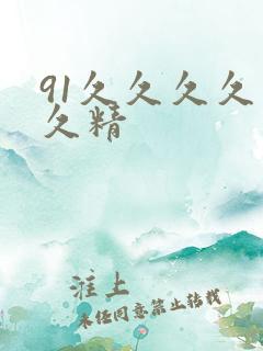 91久久久久久久精