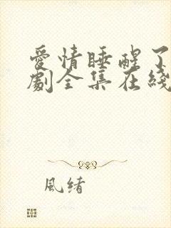 爱情睡醒了电视剧全集在线观看免费观看