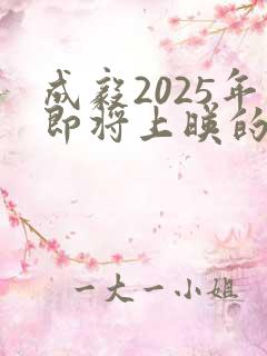 成毅2025年即将上映的电视剧