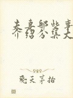 夫妻那些事剧情介绍分集大结局