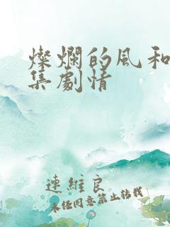 灿烂的风和海分集剧情