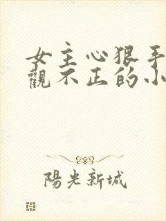 女主心狠手辣三观不正的小说