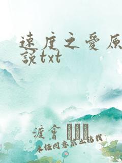 速度之爱原著小说txt