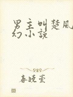 男主叫楚风的玄幻小说