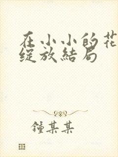 在小小的花蕾处绽放结局