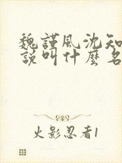 魏谨风沈知玉小说叫什么名字