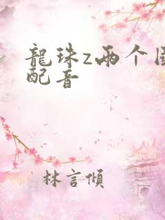 龙珠z两个国语配音