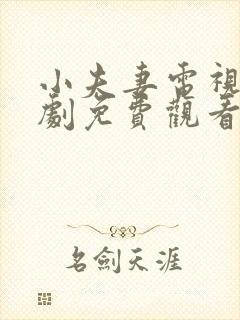 小夫妻电视连续剧免费观看全集高清