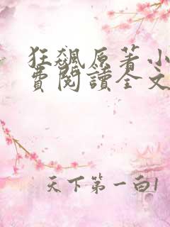 狂飙原著小说免费阅读全文无删减