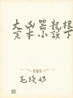 大凶器龙根免费完本小说下载