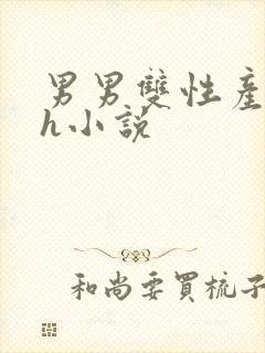 男男双性产子高h小说