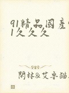 91精品国产91久久久