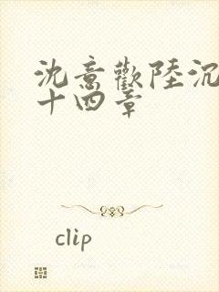 沈意欢陆沉舟第十四章