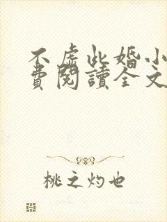 不虚此婚小说免费阅读全文