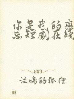 你是我的恋恋不忘短剧在线观看