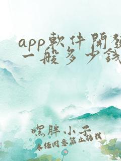 app软件开发一般多少钱