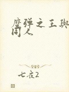 魔弹之王与战姬同人