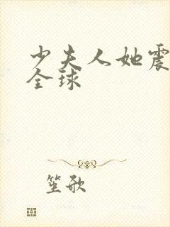 少夫人她震惊了全球