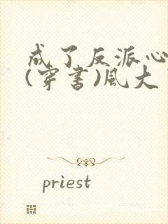成了反派心尖宠(穿书)风大了