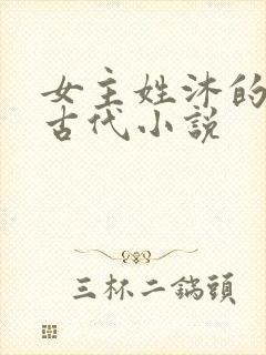 女主姓沐的重生古代小说