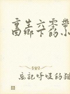 重生六零带弟妹回乡下的小说