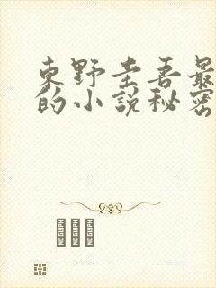 东野圭吾最好看的小说秘密