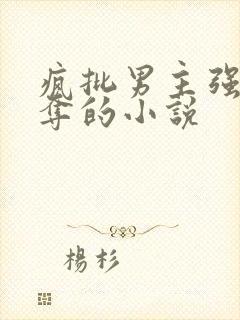 疯批男主强取豪夺的小说